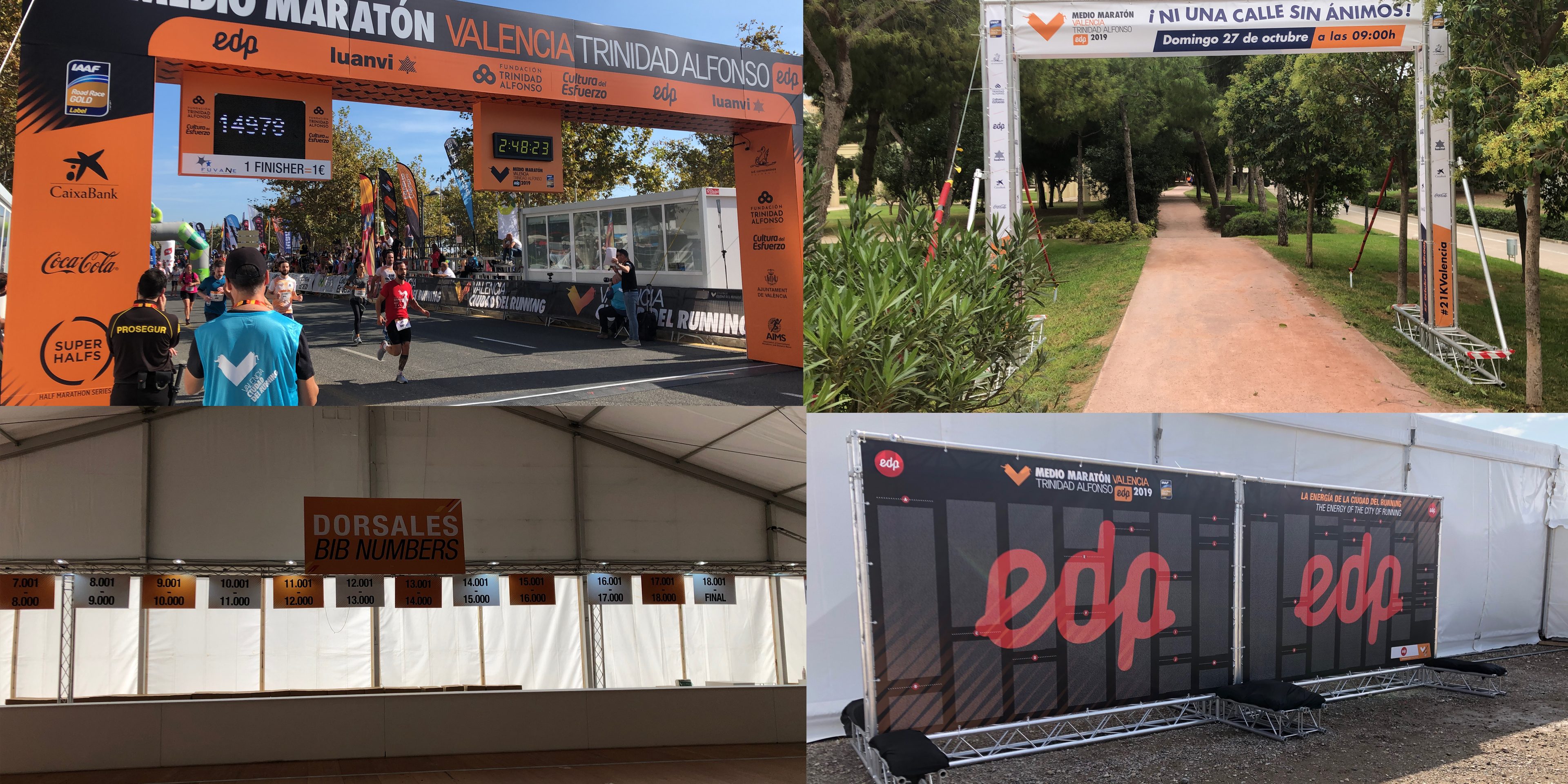 medio maraton 2019